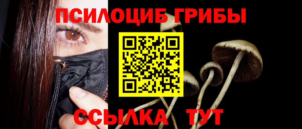 Белая Калитва  Галлюциногенные грибы ЛСД  Вход с VPN 